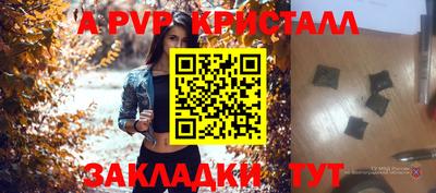 амф Можга