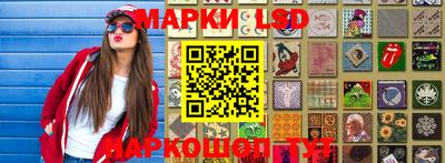 apvp Моздок