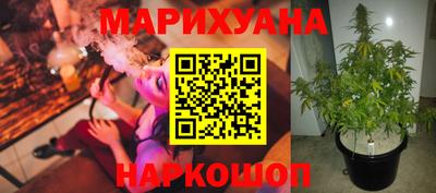 амф Можга