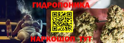 амф Можга